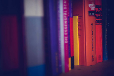 literature bookcase bookshelf